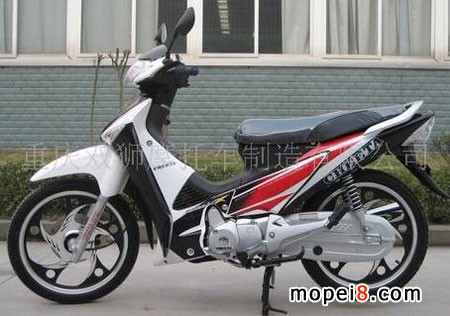 两轮摩托车-亚洲豹
