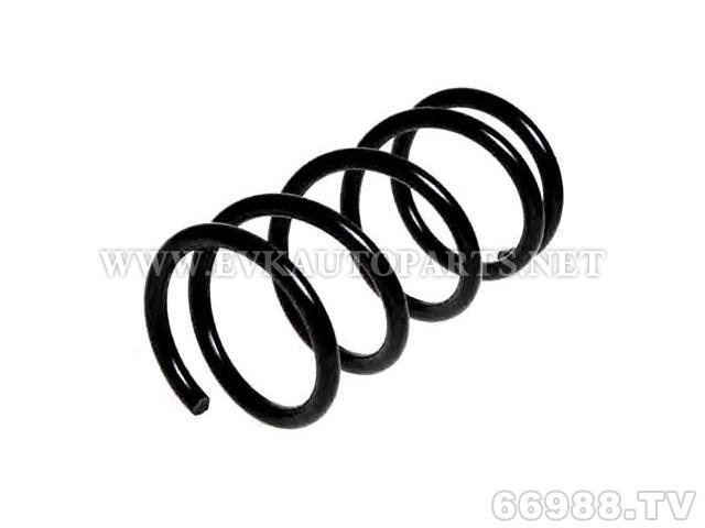 伊伟科EVK圈状弹簧 Coil Spring