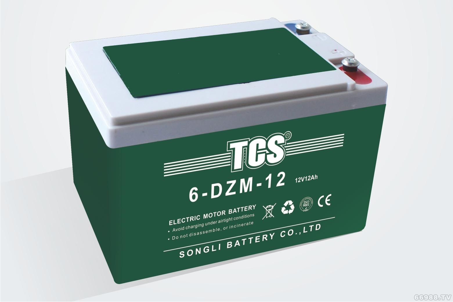 松立电动车电池TCS 6-DZM-12