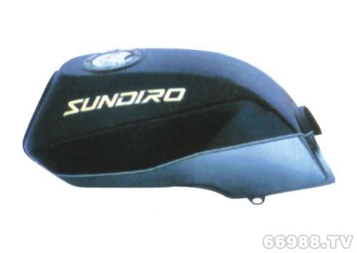 瑞跃火王鹰王36油箱