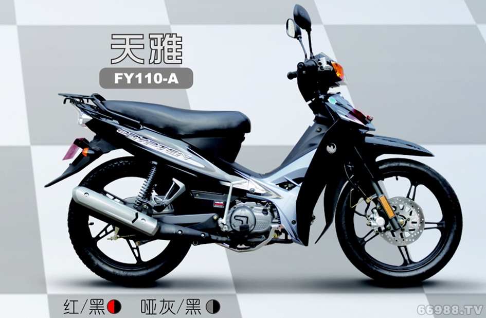 飞鹰FY110-A 天雅摩托车弯梁车