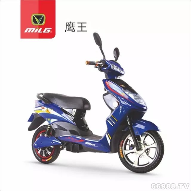 富腾达美翎鹰王电动车