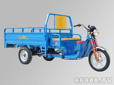 国威劲威3A电动三轮车