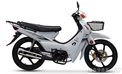 飞肯FK110-3A威驰（广州）摩托车
