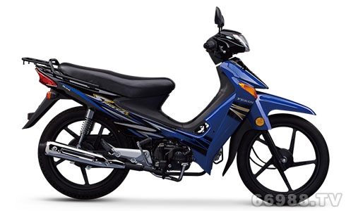 飞肯FK110-3A赛铃摩托车