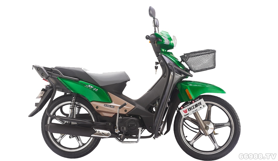 钱江风采QJ110-10C a1-1摩托车