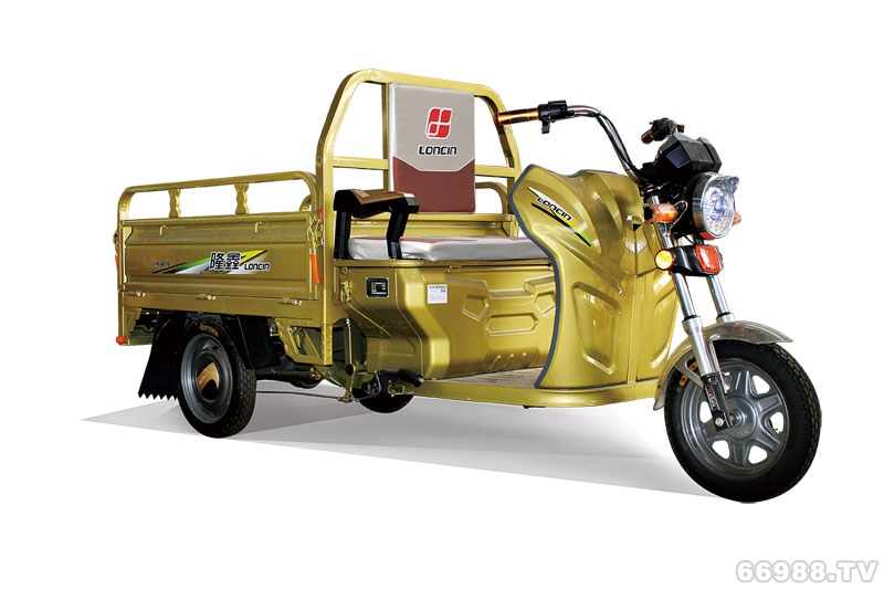 隆鑫战舰130电动车