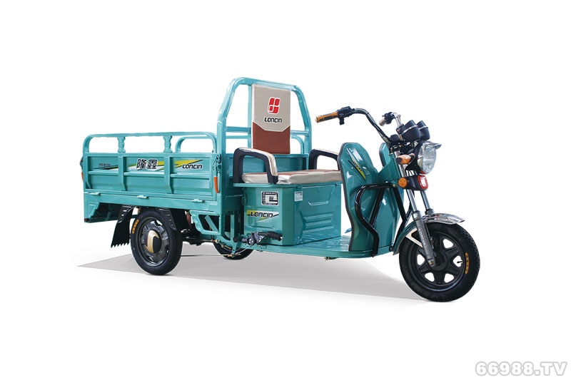 隆鑫大黄蜂II-130电动车