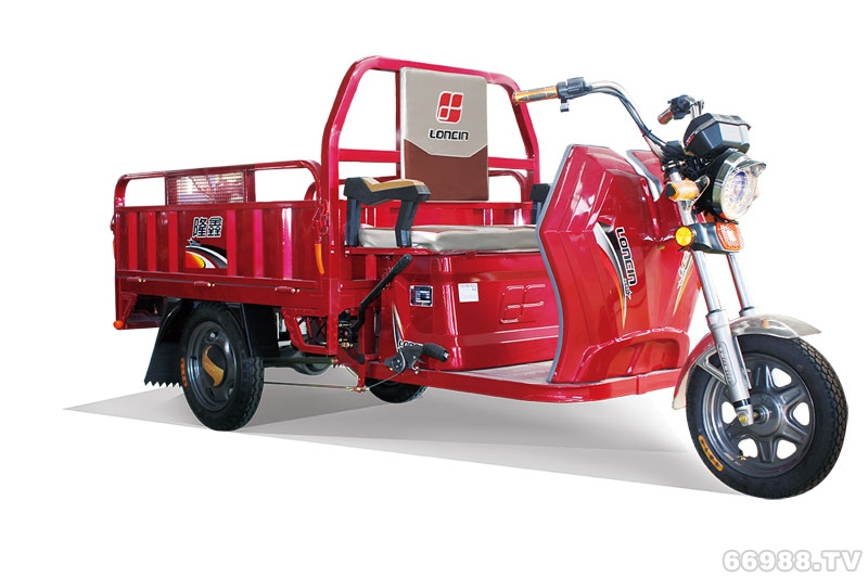 隆鑫大黄蜂160电动车