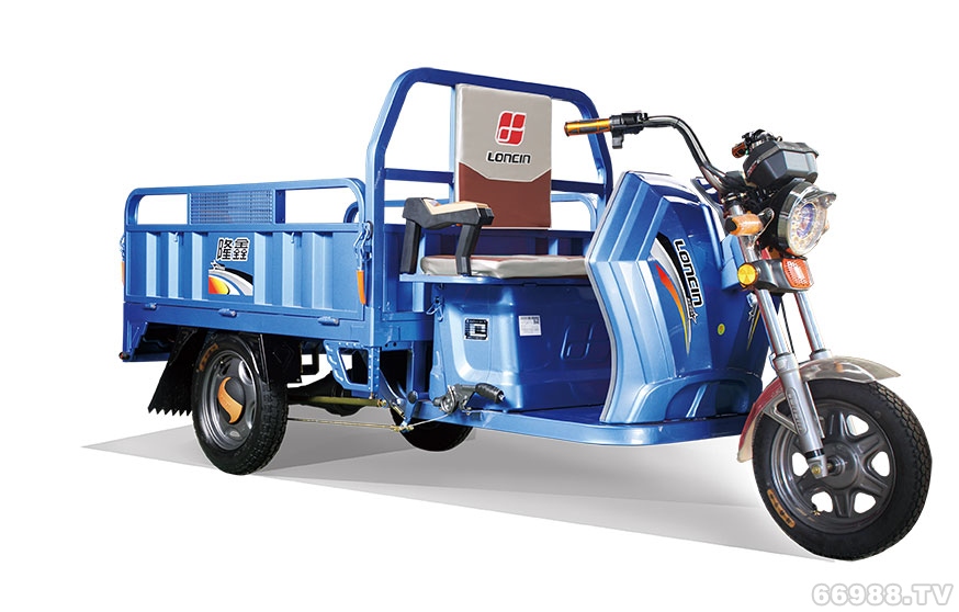 隆鑫大黄蜂150电动车