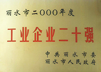 丽水市2000年度工业企...