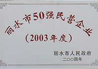 2003年度丽水市50强民营企业